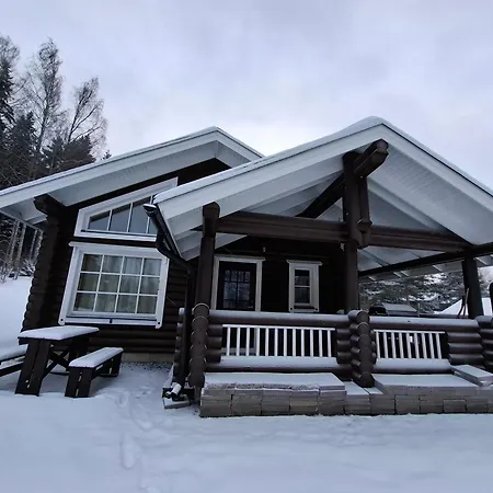 Smaller Aeijaenhonka Cottage Jamsa Exterior photo